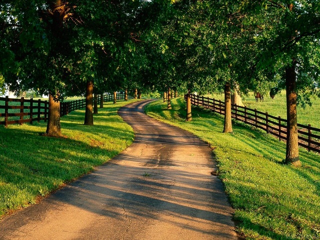 免费cc攻击测试