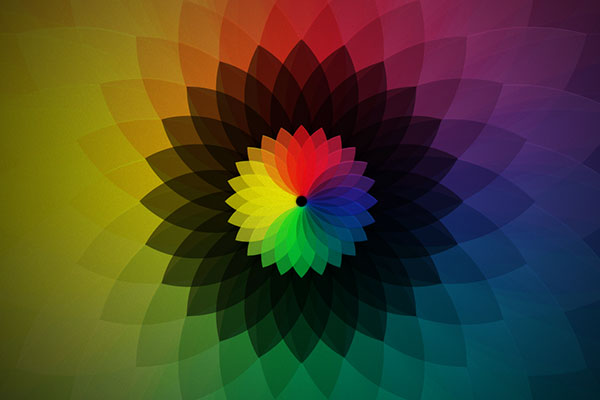 系统优化的cc网页端